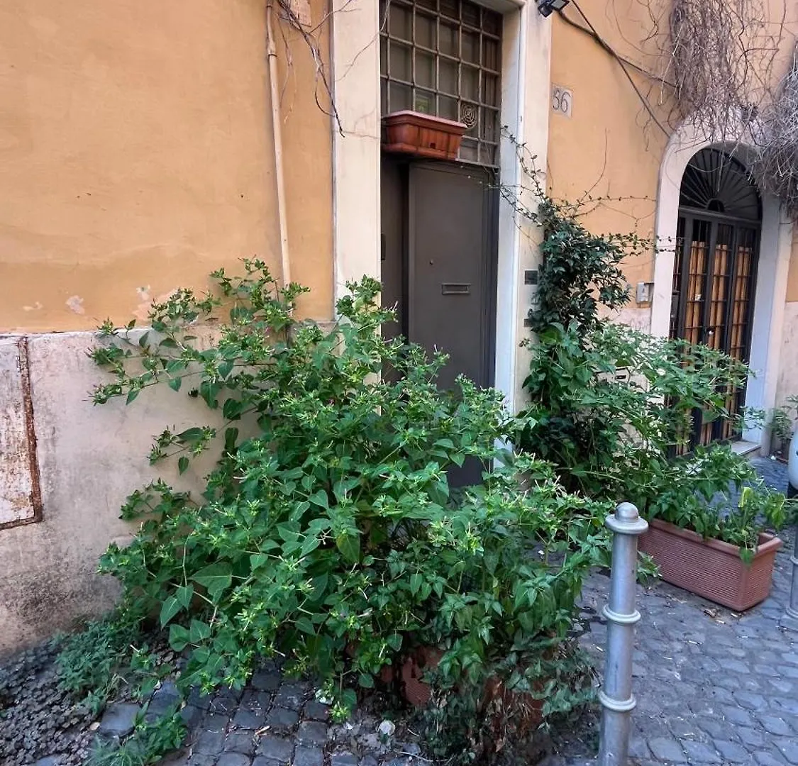 Rione Monti Casa Vacanza Rome